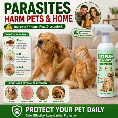 🥳Top Recommendation🥳Buy 1 Get 1 Free for a Limited Time🥳Pet Flea Spray - Plant-Based Formula! 🛡️💨