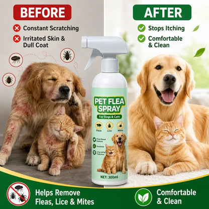 🥳Top Recommendation🥳Buy 1 Get 1 Free for a Limited Time🥳Pet Flea Spray - Plant-Based Formula! 🛡️💨