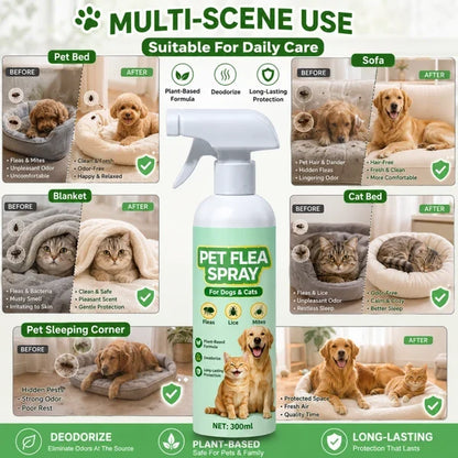 🥳Top Recommendation🥳Buy 1 Get 1 Free for a Limited Time🥳Pet Flea Spray - Plant-Based Formula! 🛡️💨